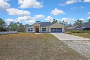13481 CORMORANT ROAD, BROOKSVILLE, FL 34614 - MLS#MFRV4947562