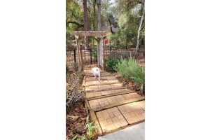 1564 BLUE GRASS BOULEVARD, DELAND, FL 32724 - MLS#MFRV4947564