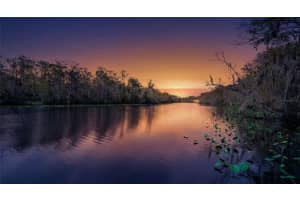 6595 Collier Rd, ST AUGUSTINE