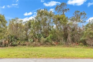 205 PLUMOSA ROAD, DEBARY, FL 32713 - MLS#MFRV4947793