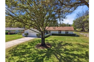 1608 PATTON AVENUE, APOPKA, FL 32703 - MLS#MFRV4947802