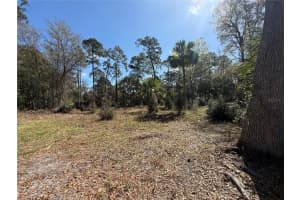 tbd PENNSYLVANIA STREET, PAISLEY, FL 32767 - MLS#MFRV4947809
