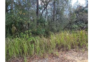S 7TH ST, DELAND, FL 32724 - MLS#MFRV4947846