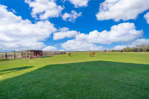 3398 MASTERPIECE ROAD, LAKE WALES, FL 33898 - MLS#MFRV4947958