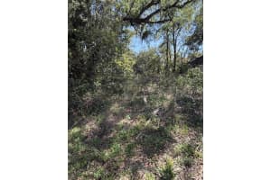 110 MERCERS FERNERY ROAD, DELAND, FL 32724 - MLS#MFRV4948006