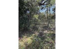 110 MERCERS FERNERY ROAD, DELAND, FL 32724 - MLS#MFRV4948006
