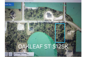 OAKLEAF ST #Orange, ORLANDO, FL 32833 - MLS#MFRV4948036