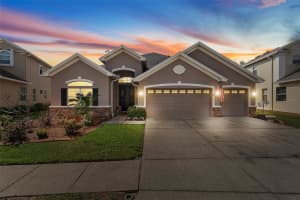 3247 DIAMOND FALLS CIRCLE, LAND O LAKES, FL 34638 Sold 05/04/26