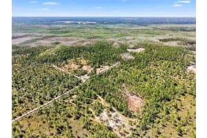 TURKEY ROOST RD, DELAND, FL 32724 - MLS#MFRV4948074
