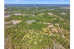 TURKEY ROOST RD, DELAND, FL 32724 - MLS#MFRV4948075