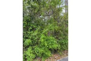 253 HIGHBANKS ROAD, DEBARY, FL 32713 - MLS#MFRV4948080