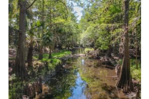 1501 ASHBY CREEK ROAD, OSTEEN, FL 32764 - MLS#MFRV4948163