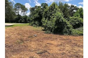 257 LAKE LANE, DEBARY, FL 32713 - MLS#MFRV4948188