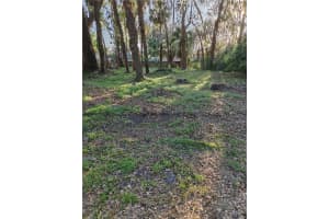 2214 NEEDLE PALM DRIVE, EDGEWATER, FL 32141 - MLS#MFRV4948220