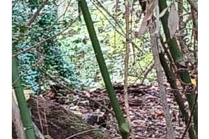 6104 268TH TERRACE, NEWBERRY, FL 32669 - MLS#MFRV4948319