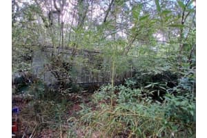 6104 268TH TERRACE, NEWBERRY, FL 32669 - MLS#MFRV4948319