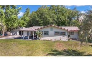 55715 JACK MOORE ROAD, ASTOR, FL 32102 - MLS#MFRV4948394