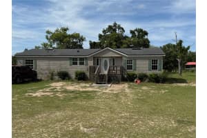 11090 165TH TERRACE ROAD, OCKLAWAHA, FL 32179 - MLS#MFRV4948477