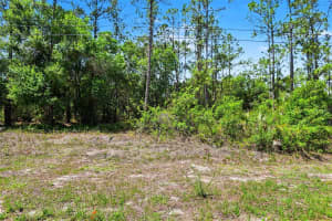 711 WELLINGTON AVENUE, LEHIGH ACRES, FL 33972 - MLS#MFRV4948530