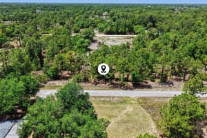 403 WELLINGTON AVENUE, LEHIGH ACRES, FL 33972 - MLS#MFRV4948531