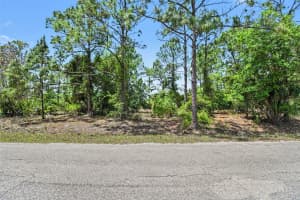 403 WELLINGTON AVENUE, LEHIGH ACRES, FL 33972 - MLS#MFRV4948531