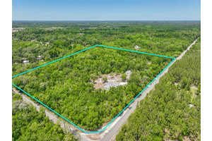 1370 BUCKLES ROAD, PIERSON, FL 32180 - MLS#MFRV4948549