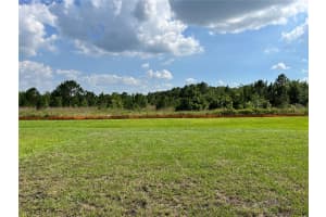 1487 FOX SQUIRREL DRIVE, DAVENPORT, FL 33897 - MLS#MFRV4948573