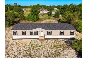 101 ORANGE TREE STREET, POMONA PARK, FL 32181 - MLS#MFRV4948592