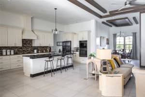 41289 COUNTY ROAD 452, LEESBURG, FL 34788 - MLS#MFRV4948613