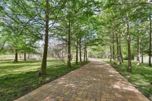 443 JUNIPER LANE, ORMOND BEACH, FL 32174 - MLS#MFRV4948642