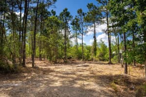 3770 BALSAM COURT, ORMOND BEACH, FL 32174 - MLS#MFRV4948665