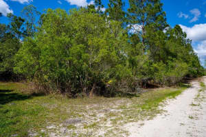 3770 BALSAM COURT, ORMOND BEACH, FL 32174 - MLS#MFRV4948665