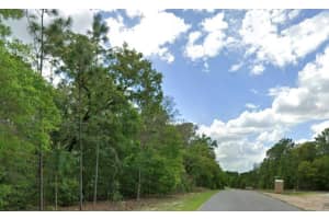 1968 SHELLBARK DRIVE, CITRUS SPRINGS, FL 34434 - MLS#MFRV4948751