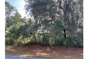 RANCHERO RD, DELAND, FL 32720 - MLS#MFRV4948907