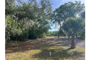 RANCHERO RD, DELAND, FL 32720 - MLS#MFRV4948907