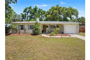 315 11TH AVENUE, MOUNT DORA, FL 32757 - MLS#MFRV4948938