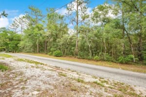 1121 SILVER SADDLE TRAIL, DELAND, FL 32724 - MLS#MFRV4949107