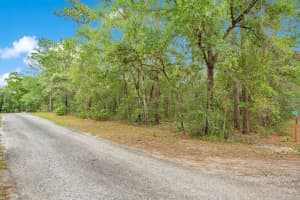 1121 SILVER SADDLE TRAIL, DELAND, FL 32724 - MLS#MFRV4949107