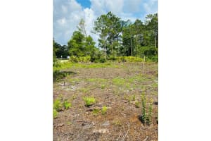2873 LAUREL ROAD, DELAND, FL 32724 - MLS#MFRV4949156