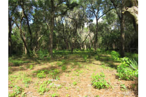 OAK VALLEY DR, DELAND, FL 32720 - MLS#MFRV4949282