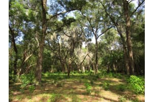 OAK VALLEY DR, DELAND, FL 32720 - MLS#MFRV4949282