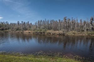 1219 Ketzal Dr, Trinity, FL 34655, Sold 07/14/16