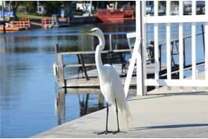 12739 4th Isle, Hudson, FL 34667, Sold 05/03/17