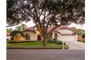 15007 Elmcrest St, Odessa, FL 33556, Sold 05/31/17