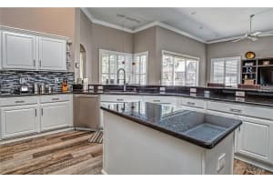 15833 Berea Dr, Odessa, FL 33556, Sold 10/19/17