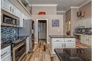 15833 Berea Dr, Odessa, FL 33556, Sold 10/19/17