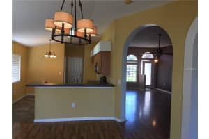 30912 Sade Ct, Wesley Chapel, FL 33545, Sold 12/01/17