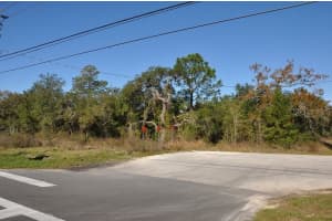 11507 CORTEZ BOULEVARD, BROOKSVILLE, FL 34613 - MLS#MFRW7823364