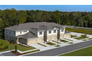 2909 Rambler Ivy Lp, Brandon, FL 33510, Sold 01/21/22