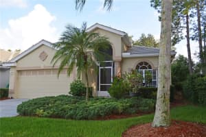9202 Souchak Dr, Trinity, FL 34655, Sold 10/19/21